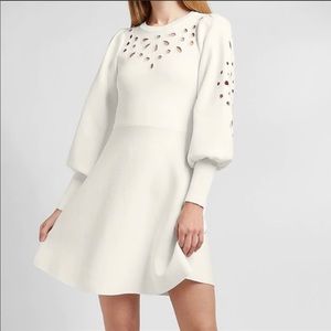 Express Eyelet Lace Fit And Flare Sweater Dress